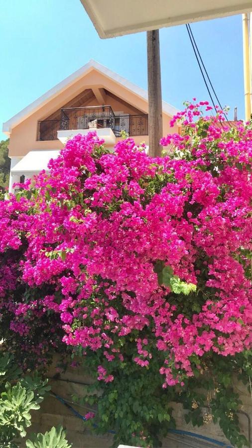 Barbara'S One Bedroom Apartments Argostoli  Ngoại thất bức ảnh